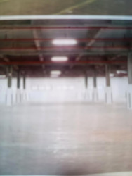 Waddington Womens Works Release Camp (D17), Factory #555421011